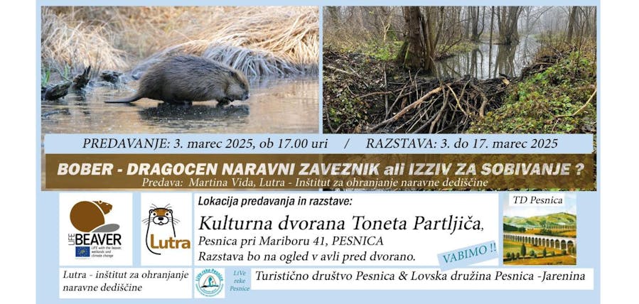 PREDAVANJE - BOBER DRAGOCEN NARAVNI ZAVEZNIK ALI IZZIV ZA SOBIVANJE